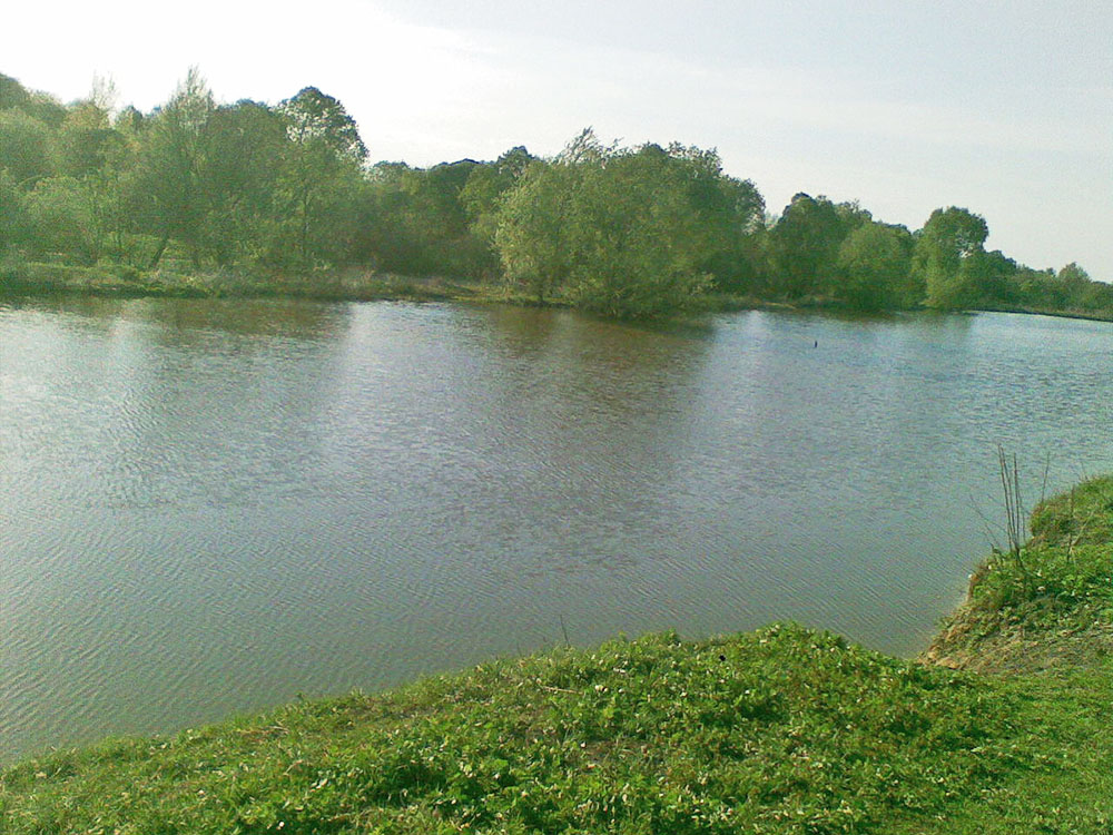 Куколка